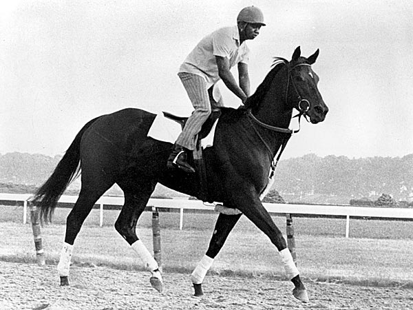 Ruffian The Queen Of Fillies